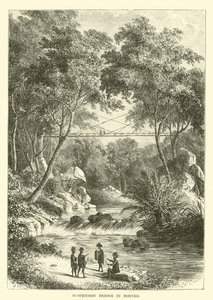 Hängbro i Borneo av English School