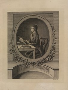 Sydney Parkinson, frontispice från 