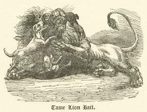 Tame Lion Bait (gravyr) av English School