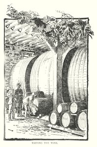 Weinverkostung von English School