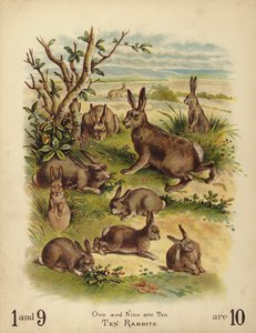 Tio kaniner (chromolitho) av English School