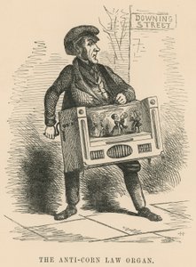 Anticorn Law Organ av English School