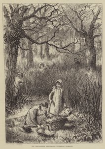 The Beaconsfield Anniversary, insamling av Primroses (gravyr) av English School