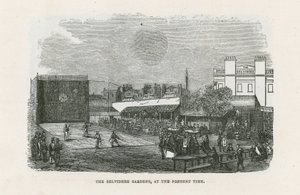 Belvidere Gardens av English School