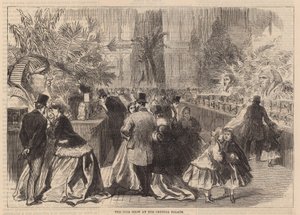 Fågelshowen på Crystal Palace av English School