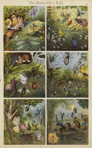 Fjärilsbollen (färg litho) av English School
