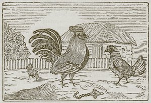 Cock and the Jewel (gravyr) av English School
