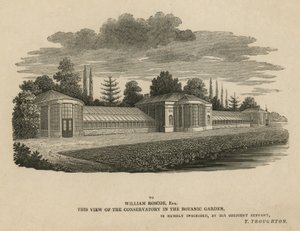 Konservatoriet i den botaniska trädgården, Kew, London av English School