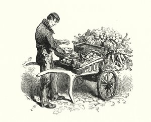 The Costermonger (gravyr) av English School
