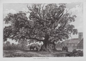 The Cowthope Oak (gravyr) av English School