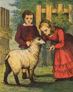 Lammet "Gökungen" (färglitografi) av English School