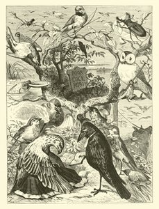 Cock Robins död och begravning av English School