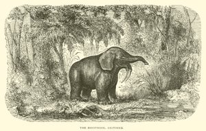 The Dinothere, restaurerad (gravyr) av English School