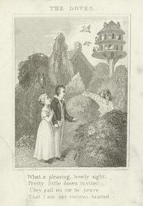 Die Tauben von English School