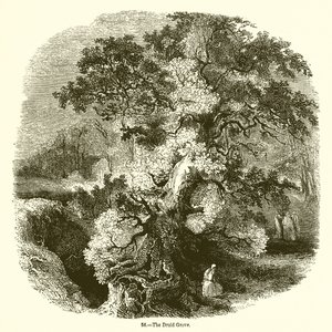 Druid Grove av English School