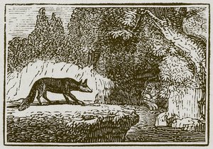 Räven och det sjuka lejonet (gravyr) av English School