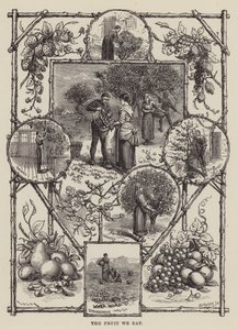 Frukten vi äter (gravyr) av English School