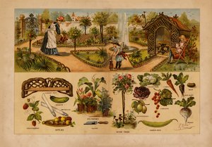 The Garden (färglitografi) av English School
