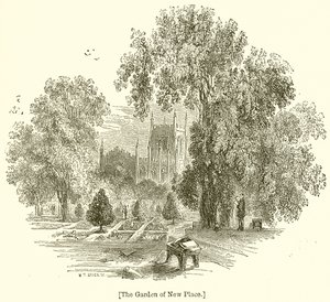 The Garden of New Place av English School