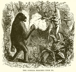 Gorillan marscherar över oss av English School