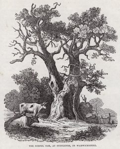 The Gospel Oak, Stonleigh, Warwickshire (gravyr) av English School
