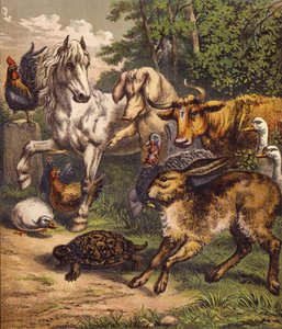 Haren och sköldpaddan (färg litho) av English School