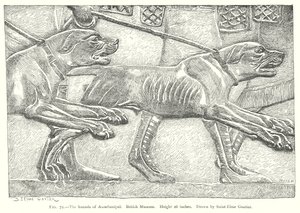 Assurbanipals hundar. British Museum (gravyr) av English School