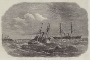 The Jackal Tender and Boats kommer att möta American Mail Steamer vid Roche