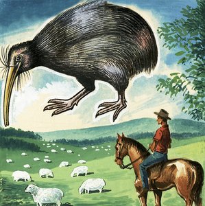 Kiwi, Nya Zeelands emblem av English School
