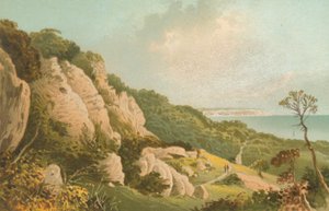 Jordfallet nära Ventnor--Isle of Wight av English School