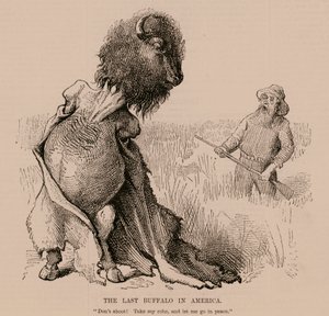 Den sista buffeln i Amerika (gravyr) av English School