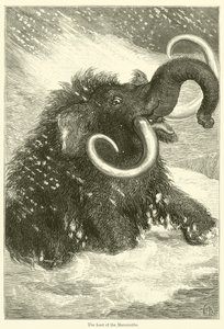The Last of the Mammoths (gravyr) av English School