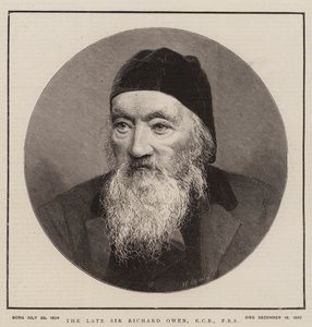 Den sene Sir Richard Owen, KCB, FRS (gravyr) av English School