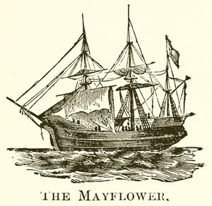 Majblomman av English School