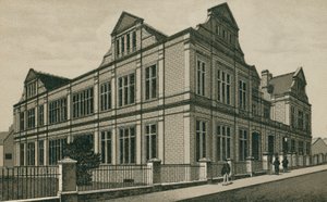 The Museum, Ipswich (litografi) av English School