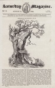 Nannau Oak (gravyr) av English School