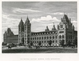 Naturhistoriska museet, 1881 av English School