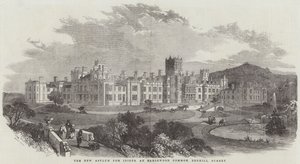 The New Asylum for Idiots, vid Earlswood Common, Redhill, Surrey (gravyr) av English School