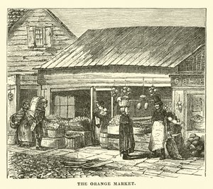 Apelsinmarknaden av English School