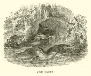 Uttern (gravyr) av English School