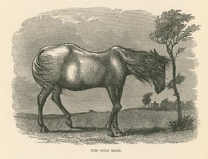 The Ould Mare (gravyr) av English School