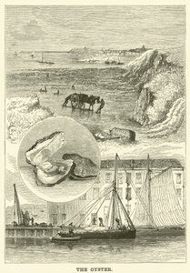 Ostron (gravyr) av English School