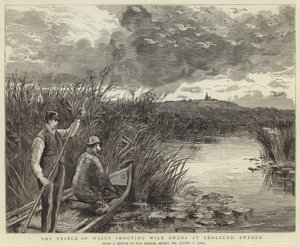 Der Prinz von Wales jagt Wildschwäne in Ekolsund von English School