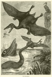 Pterodactyl (gravyr) av English School
