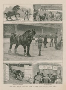 Shire Horse Society show på Royal Agricultural Hall av English School