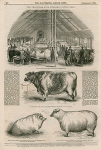 Smithfield Club Christmas Cattle Show