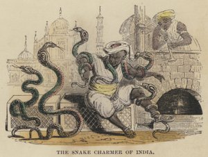 The Snake Charmer of India (färgad gravyr) av English School
