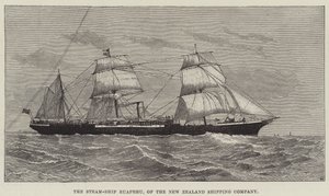 Steam-Ship Ruapehu, från New Zealand Shipping Company (gravyr) av English School