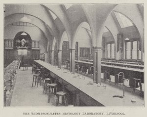 Thompson-Yates Histology Laboratory, Liverpool (gravyr) av English School