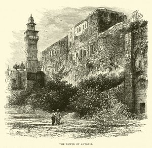 Antonias torn av English School